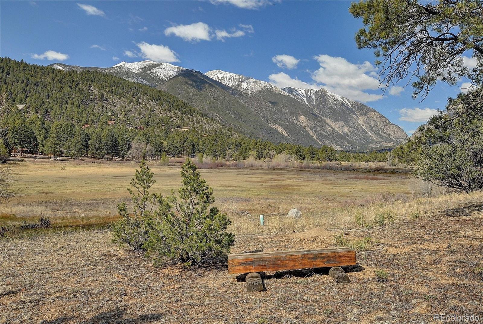 16602 County Road 289 Nathrop CO 81236