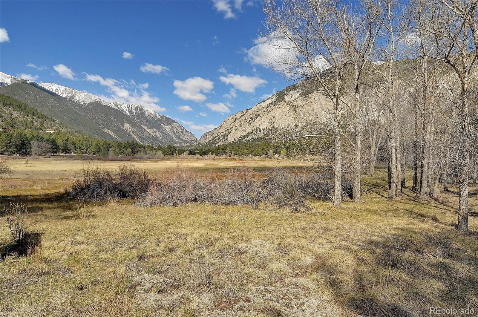 16602 County Road 289 Nathrop CO 81236