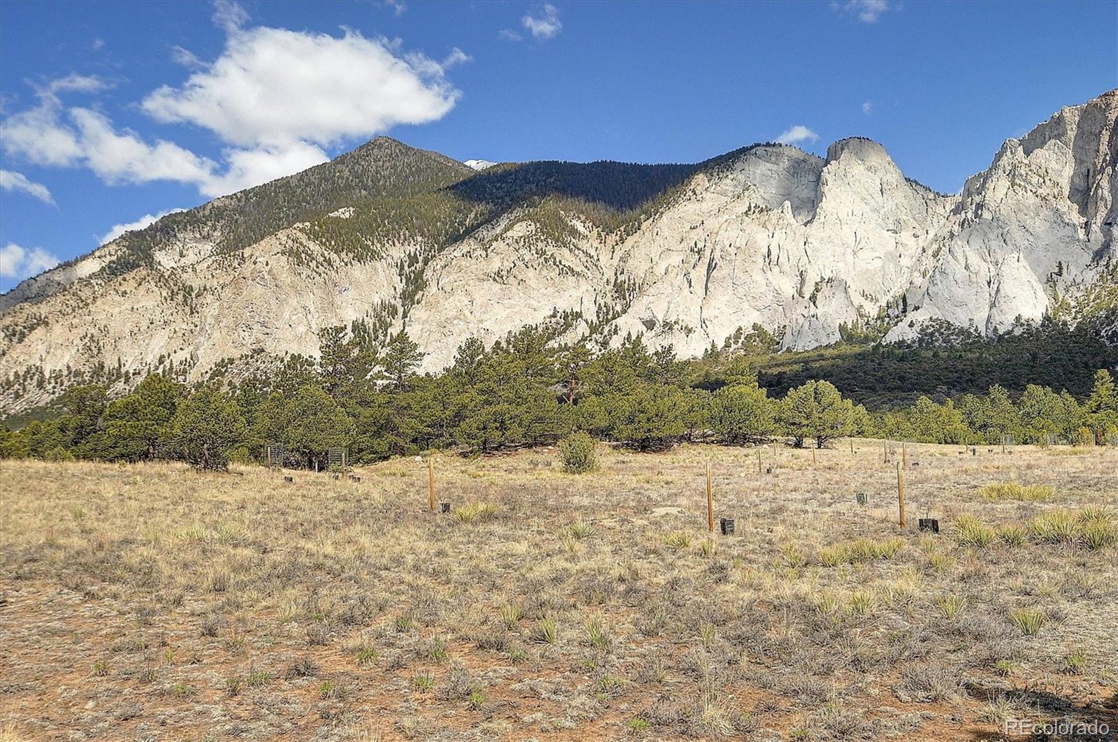 16602 County Road 289 Nathrop CO 81236