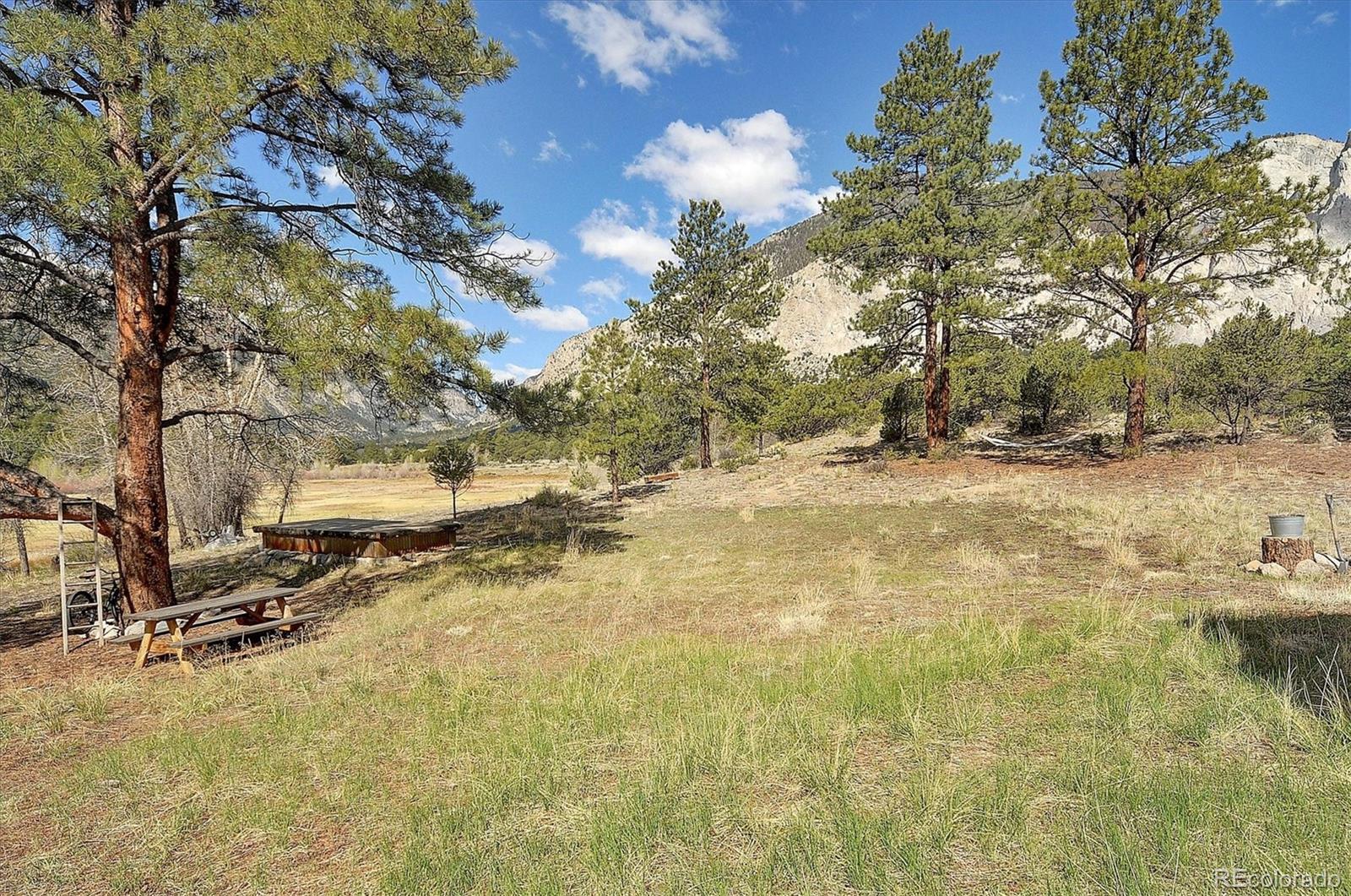 16602 County Road 289 Nathrop CO 81236