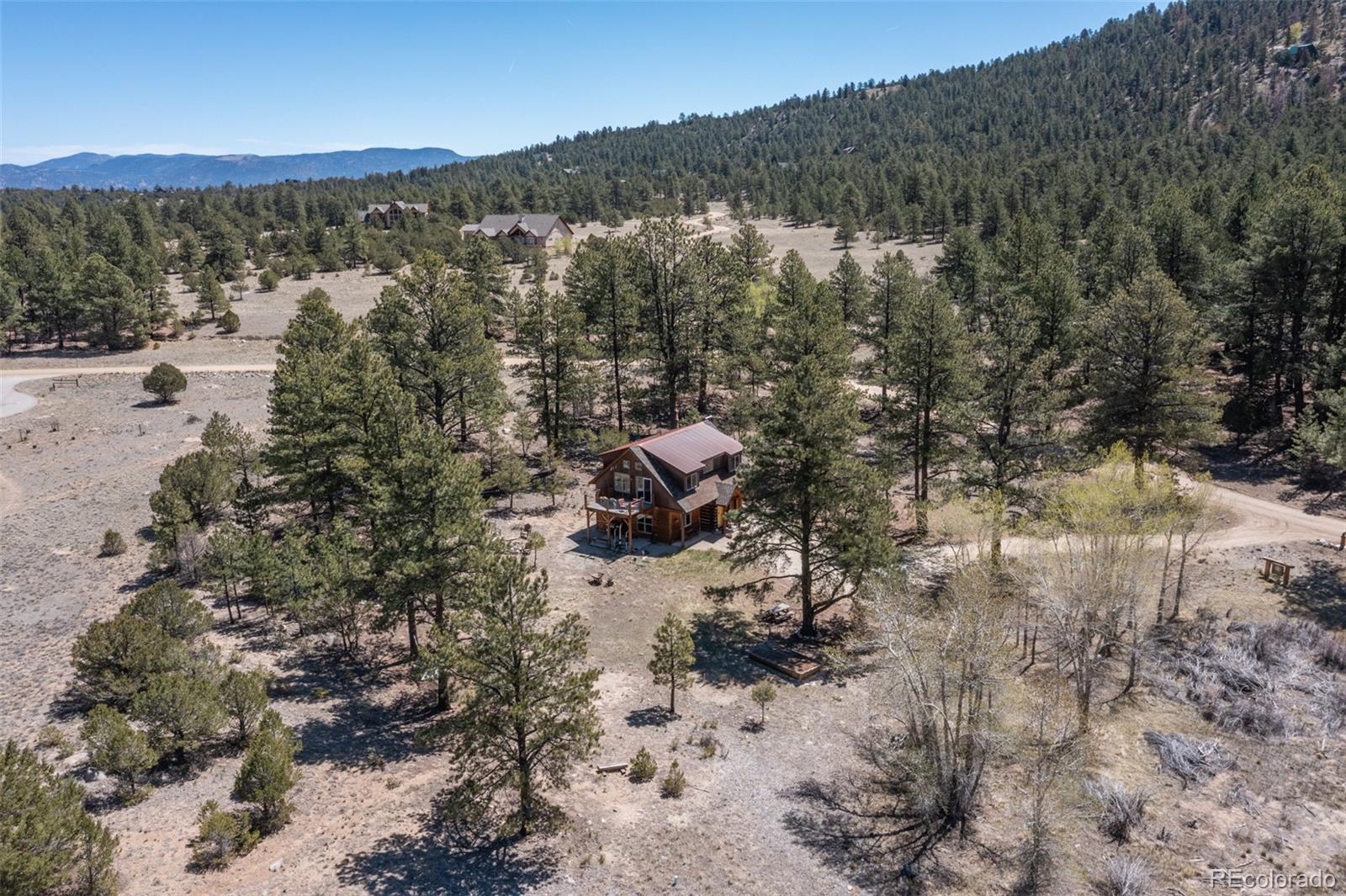 16602 County Road 289 Nathrop CO 81236