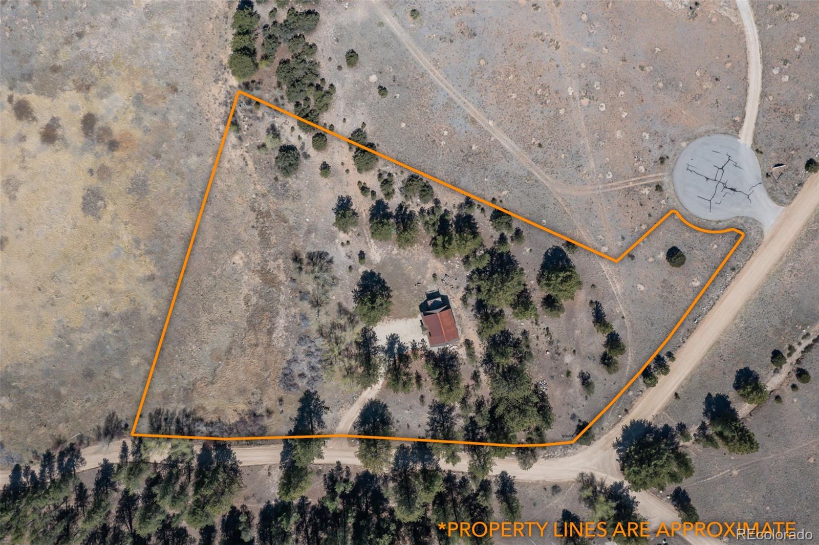 16602 County Road 289 Nathrop CO 81236