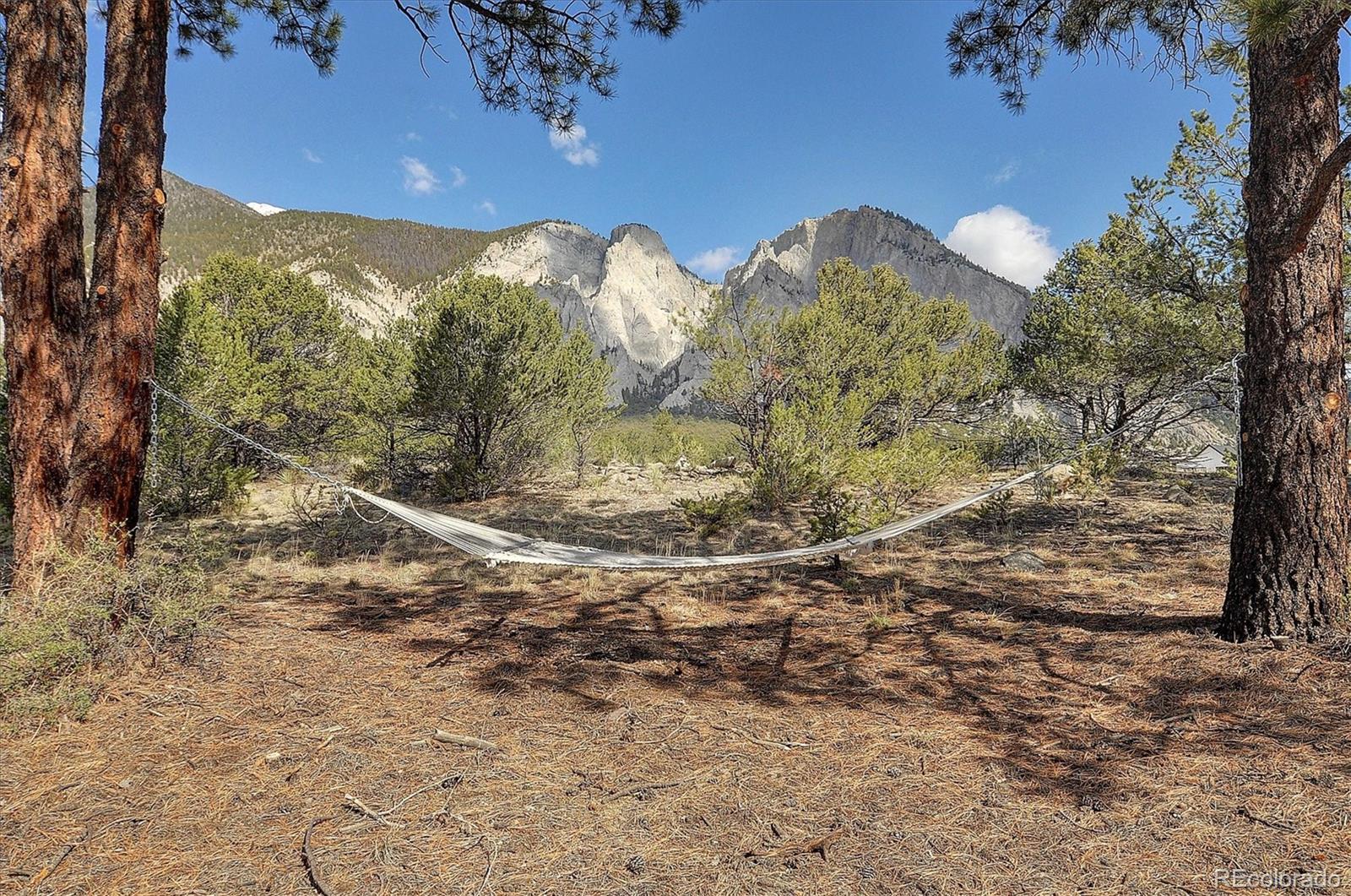 16602 County Road 289 Nathrop CO 81236