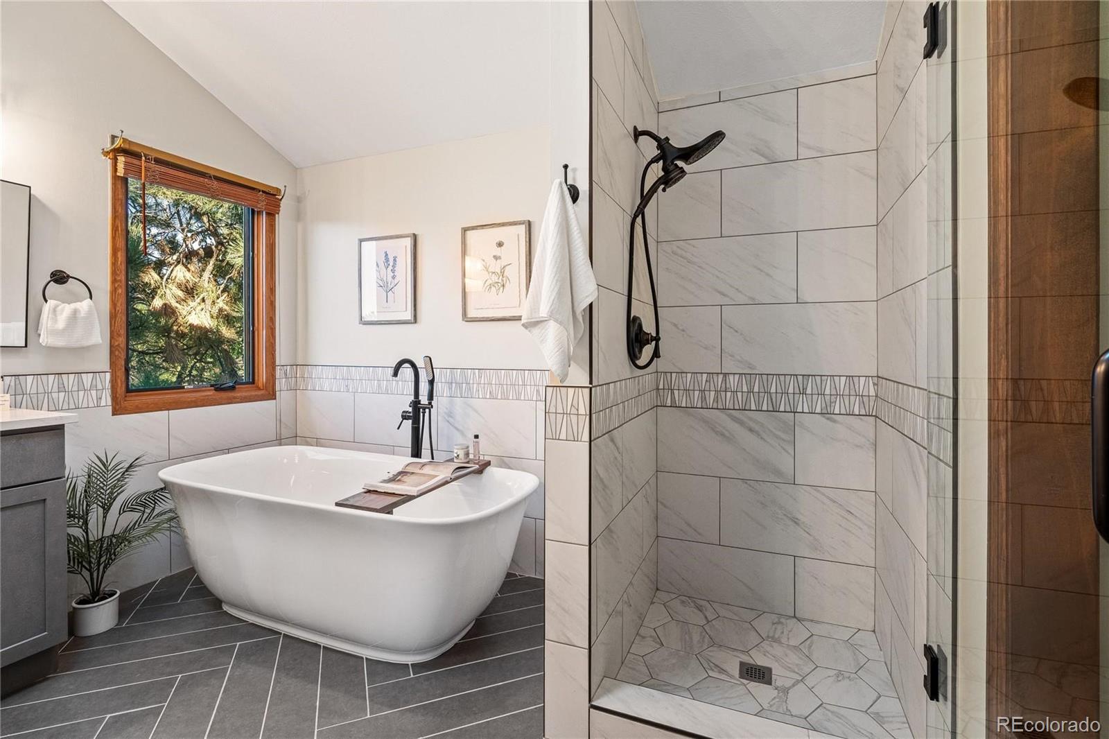 6018 Villard Court Parker CO 80134