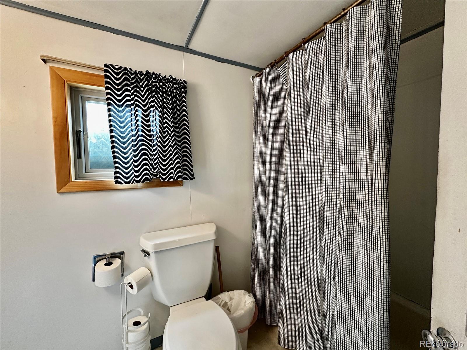 413 W 3rd Street Leadville CO 80461