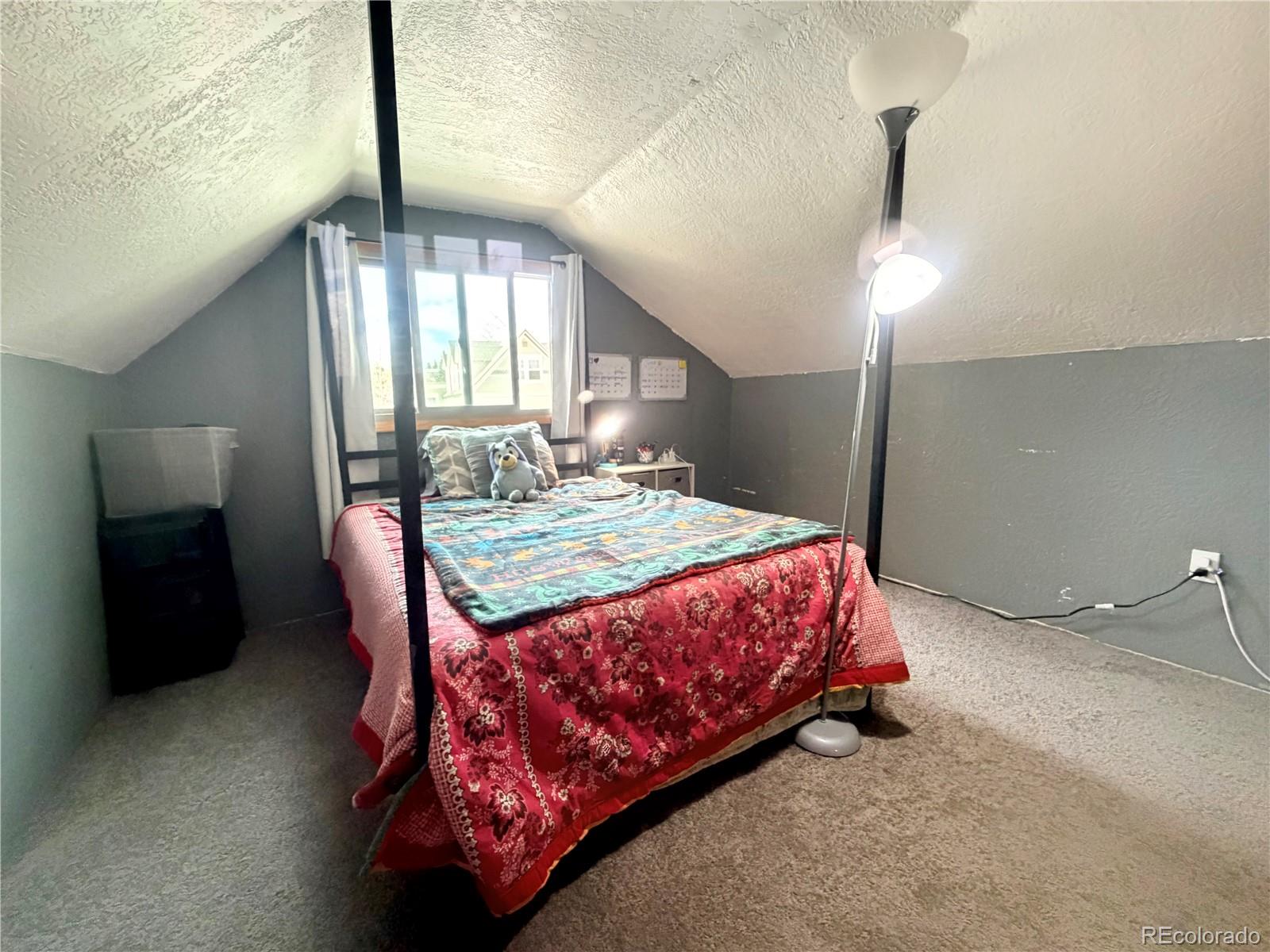 413 W 3rd Street Leadville CO 80461
