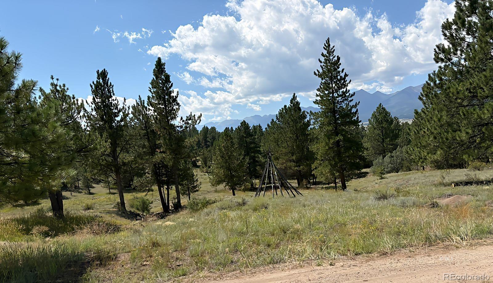 278 Blue Grouse Circle Westcliffe CO 81252
