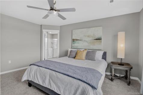 13891 Wild Lupine Street Parker CO 80134