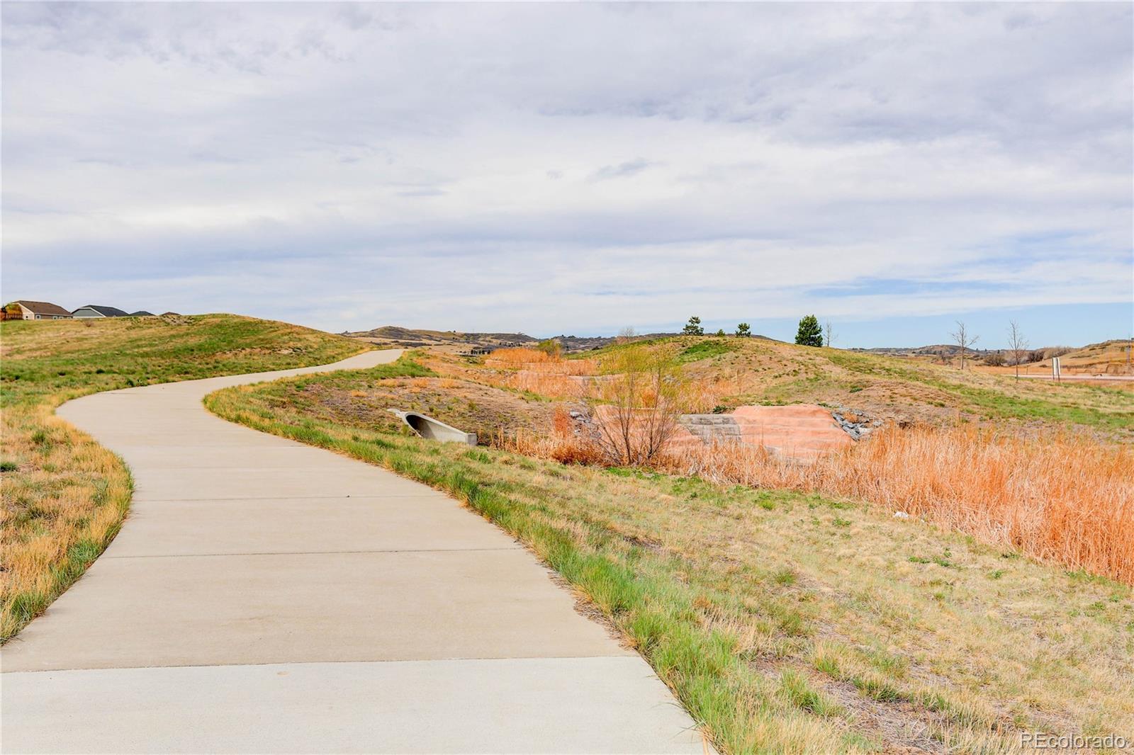 13891 Wild Lupine Street Parker CO 80134