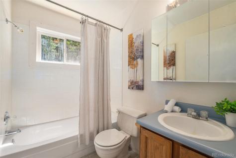 98 Evergreen Lane Idaho Springs CO 80452