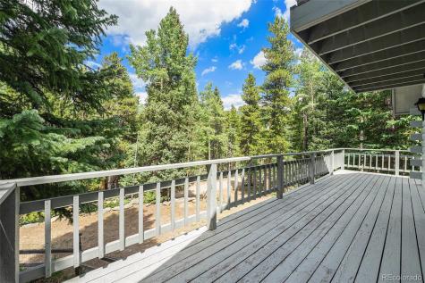 98 Evergreen Lane Idaho Springs CO 80452