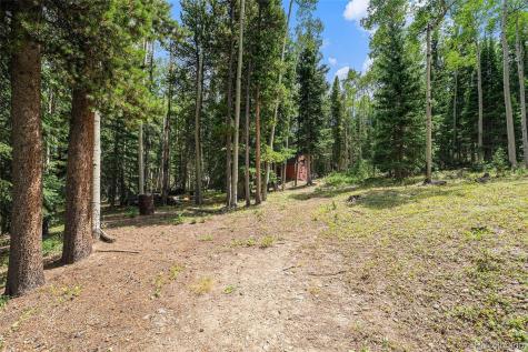 98 Evergreen Lane Idaho Springs CO 80452