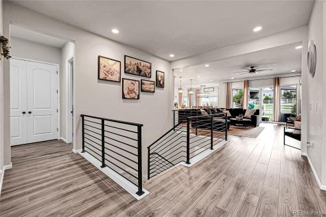 5018 Silverhare Court Castle Rock CO 80104