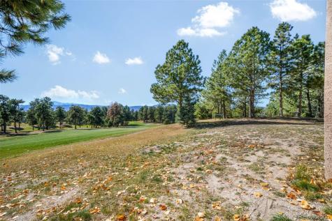 275 Tam O Shanter Way Monument CO 80132