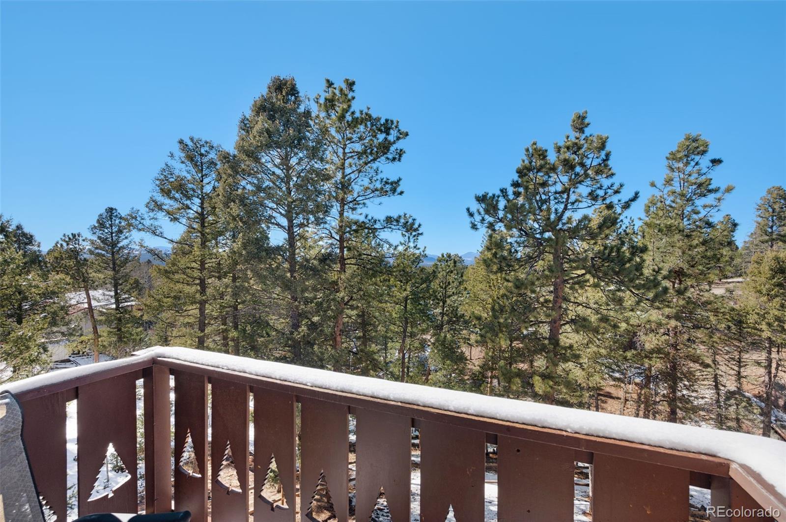 1276 Pinewood Road Florissant CO 80816