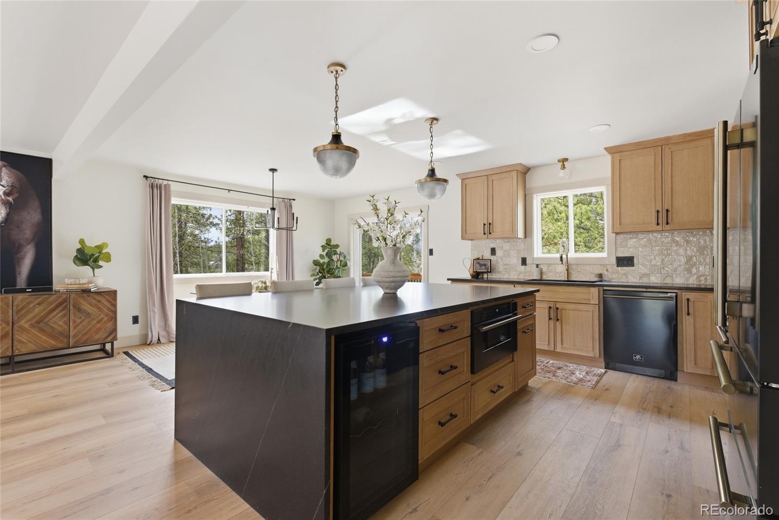 33691 Nova Road Pine CO 80470