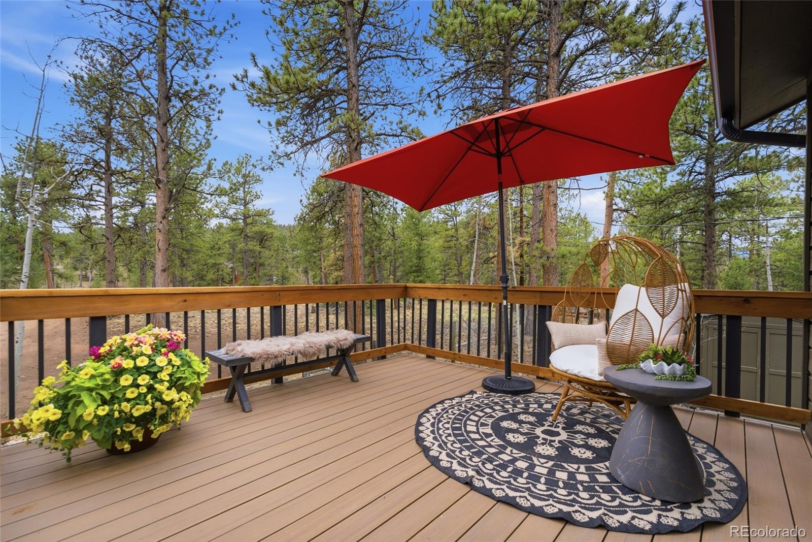 33691 Nova Road Pine CO 80470