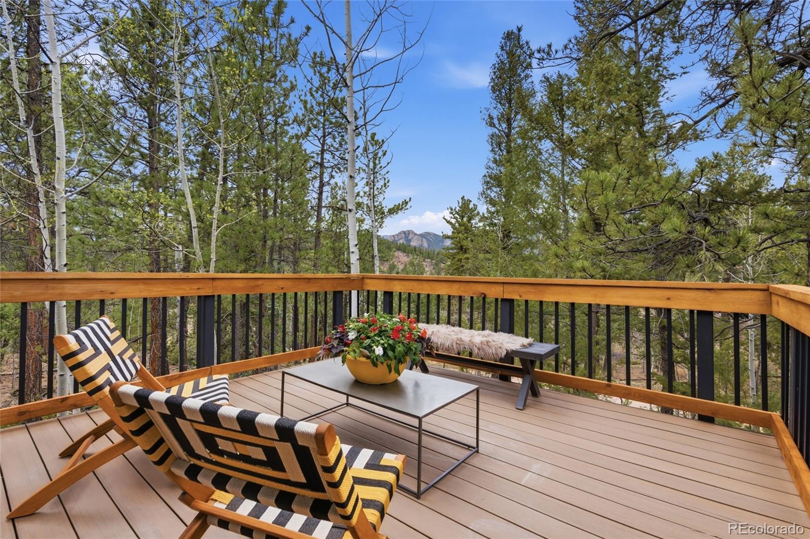 33691 Nova Road Pine CO 80470