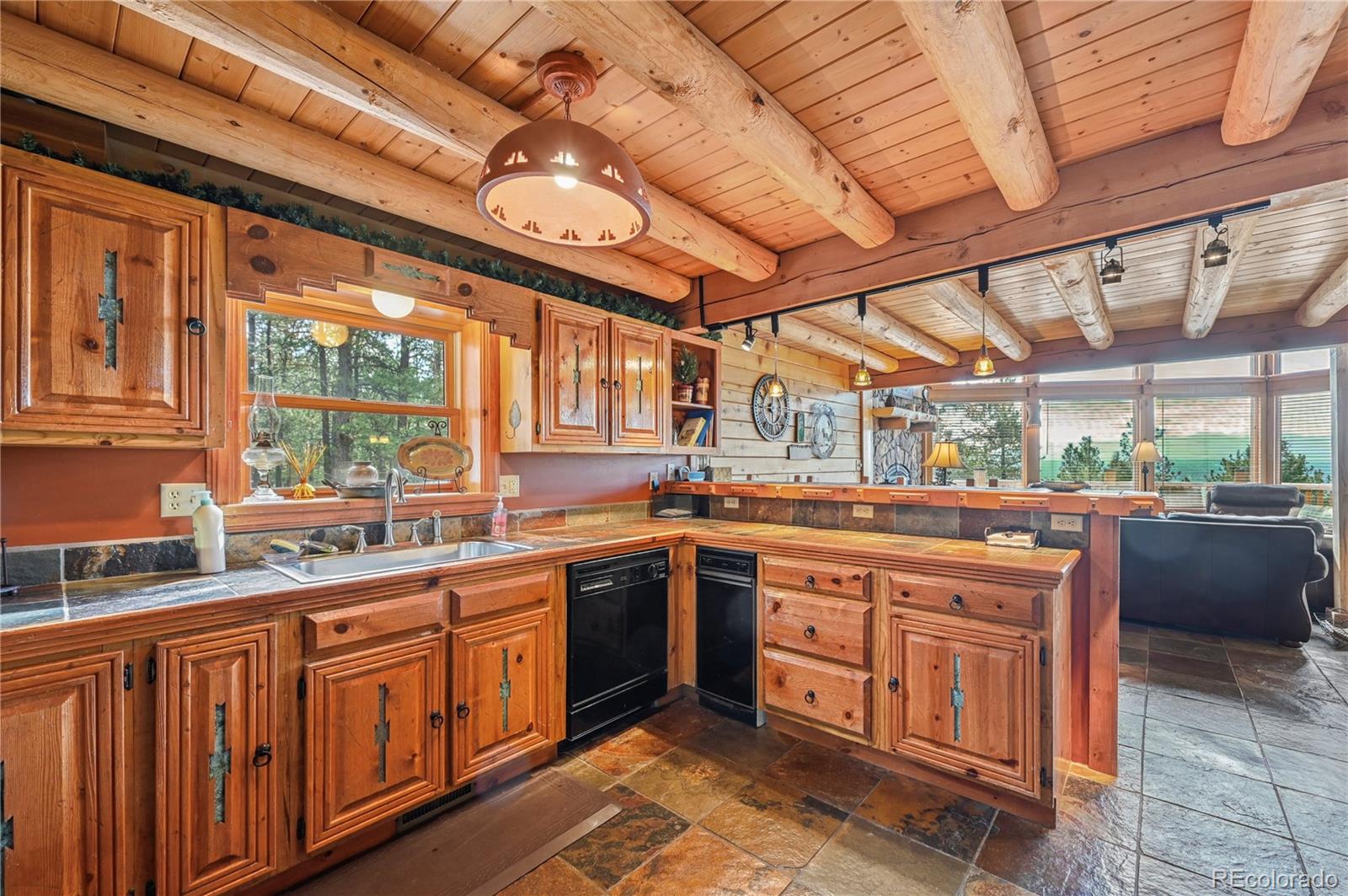 3613 Trail Creek Road Florissant CO 80816