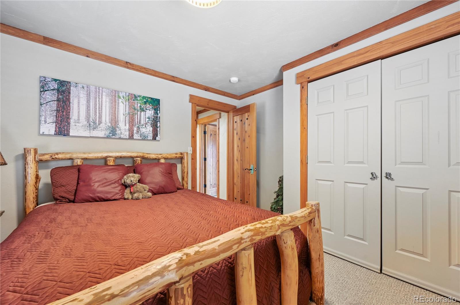 3613 Trail Creek Road Florissant CO 80816