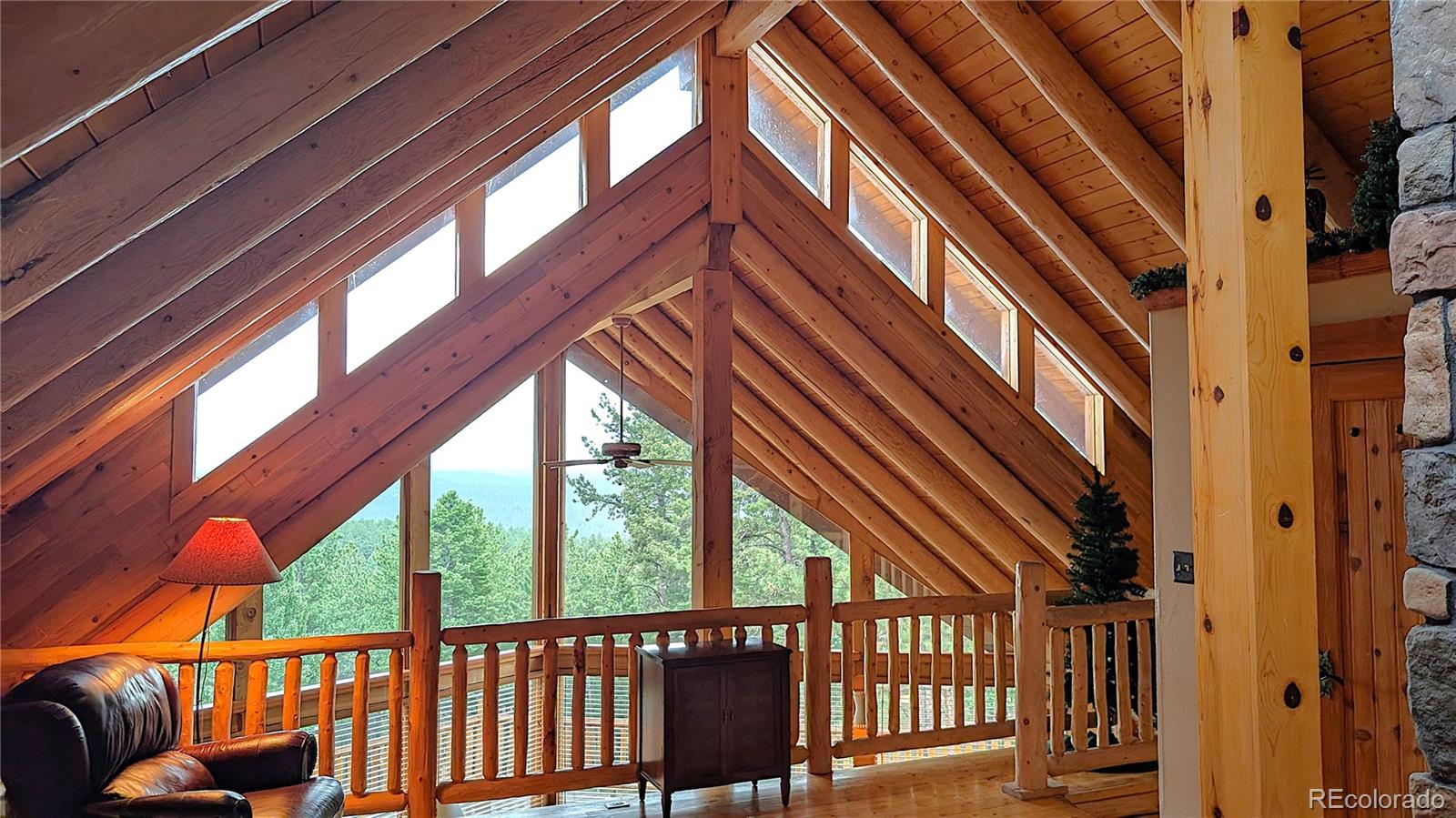 3613 Trail Creek Road Florissant CO 80816