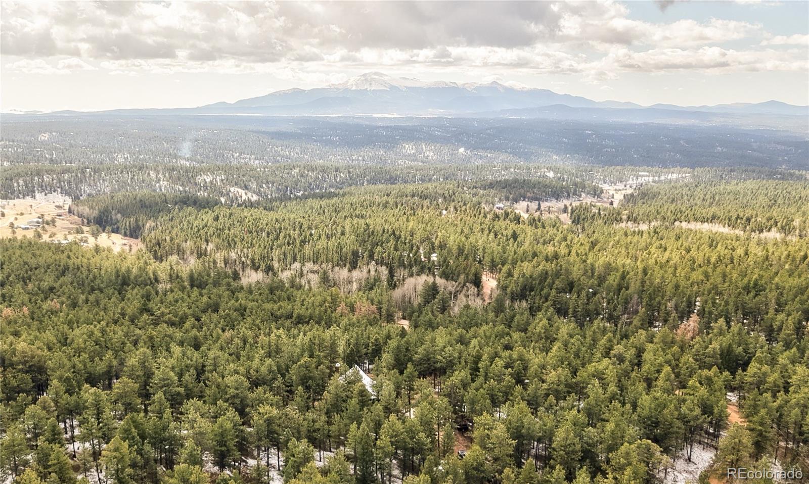3613 Trail Creek Road Florissant CO 80816