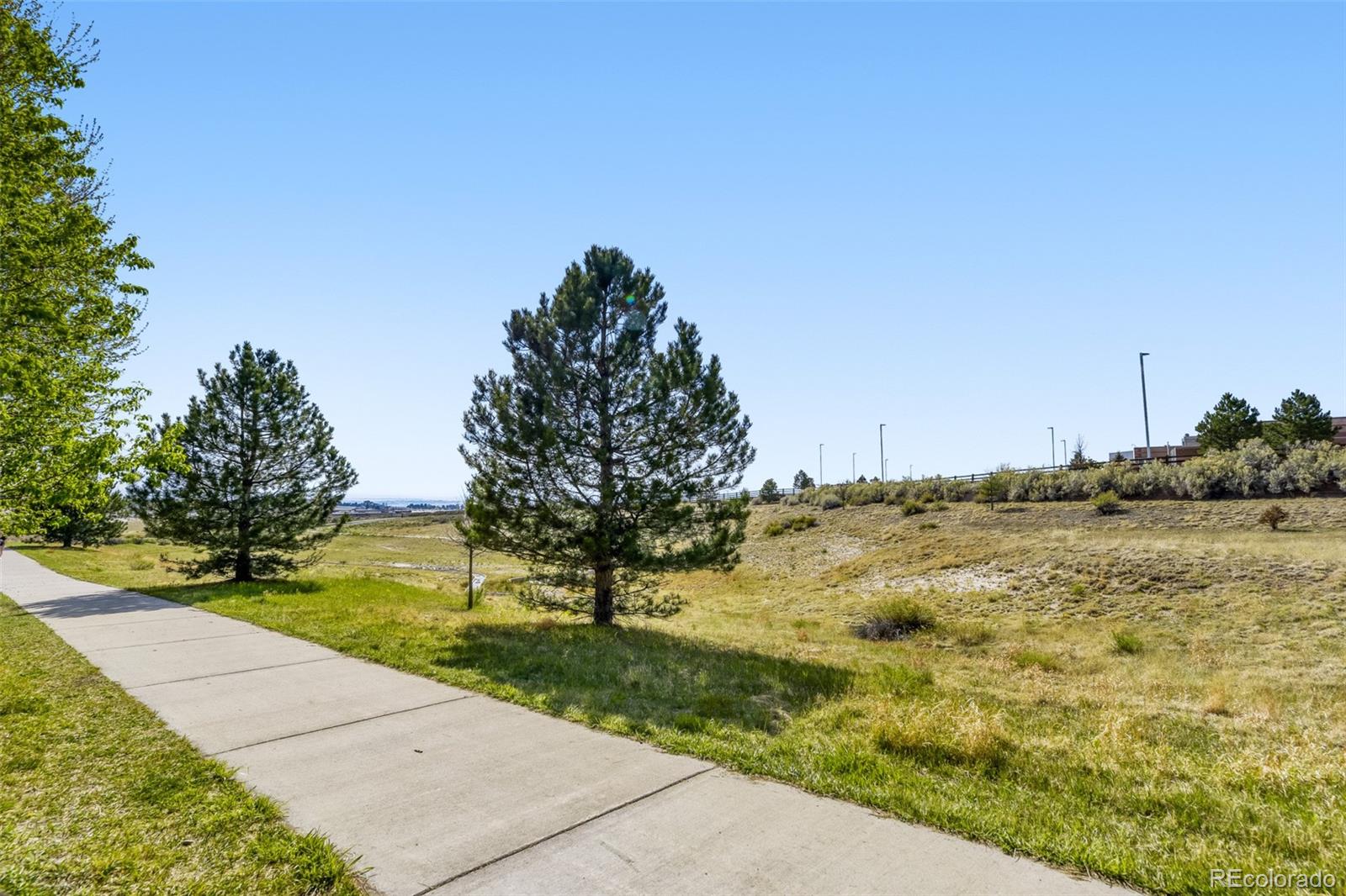 22959 Cleveland Drive Parker CO 80138