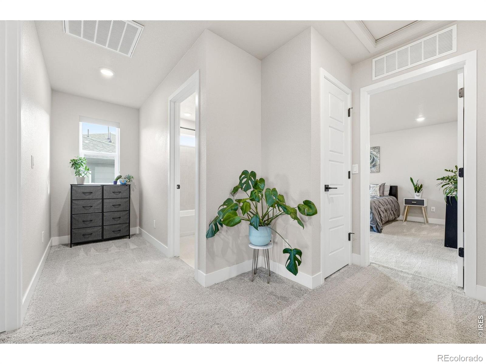 8453 Gladiola Court Arvada CO 80005