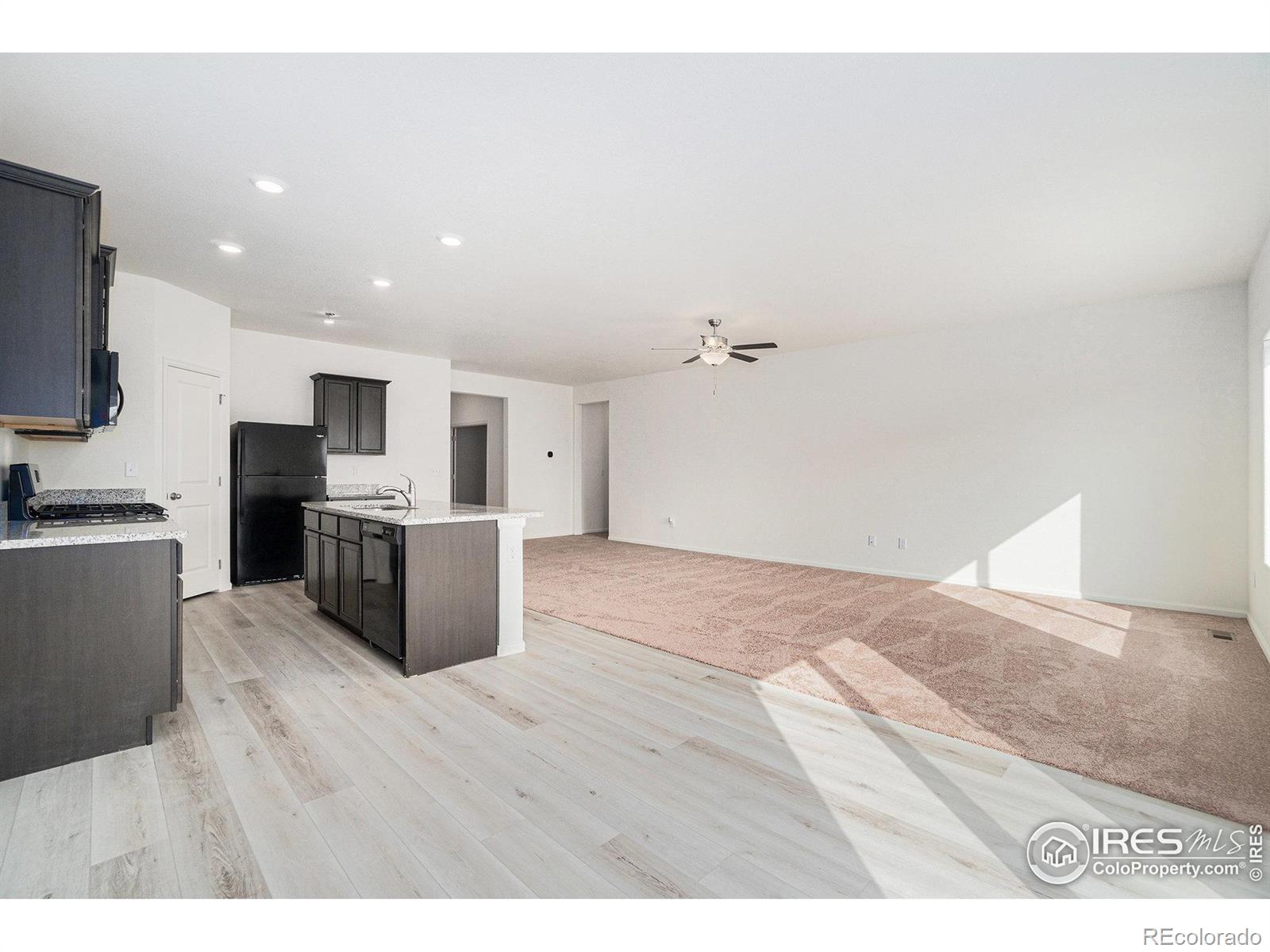 1076 Long Meadows Street Severance CO 80550