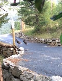 1145 Saddleback Drive Evergreen CO 80439