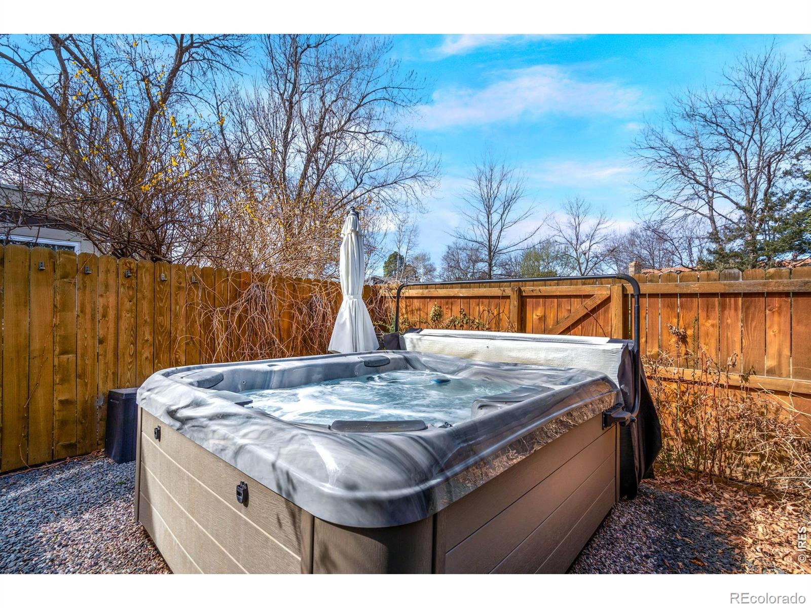 2331 Flora Drive Loveland CO 80537