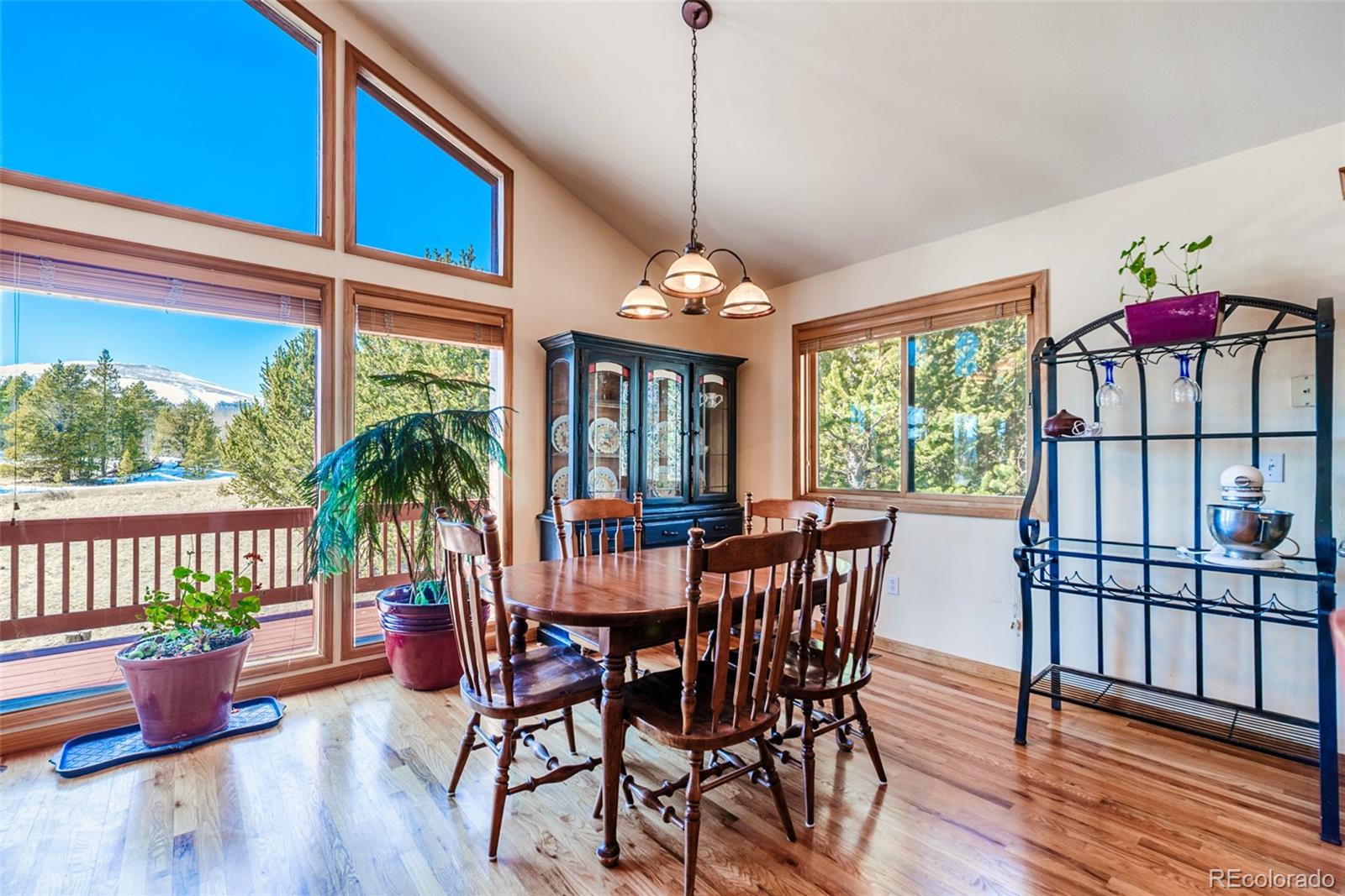 16 Thurber Court Fairplay CO 80440