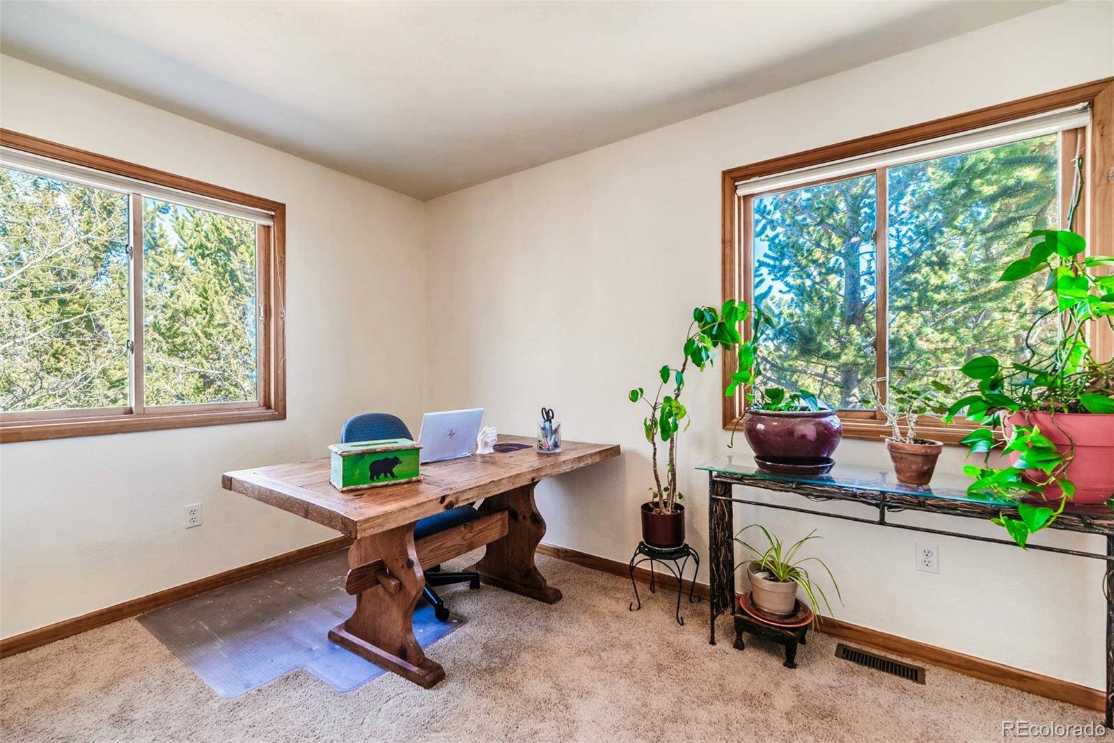16 Thurber Court Fairplay CO 80440