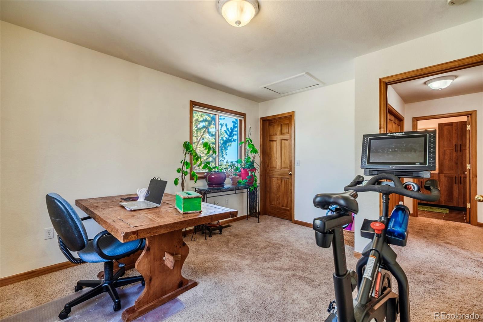 16 Thurber Court Fairplay CO 80440