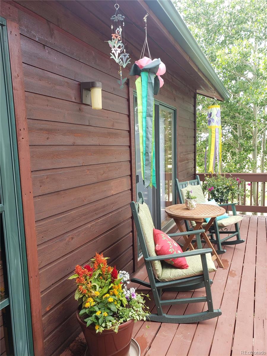 16 Thurber Court Fairplay CO 80440