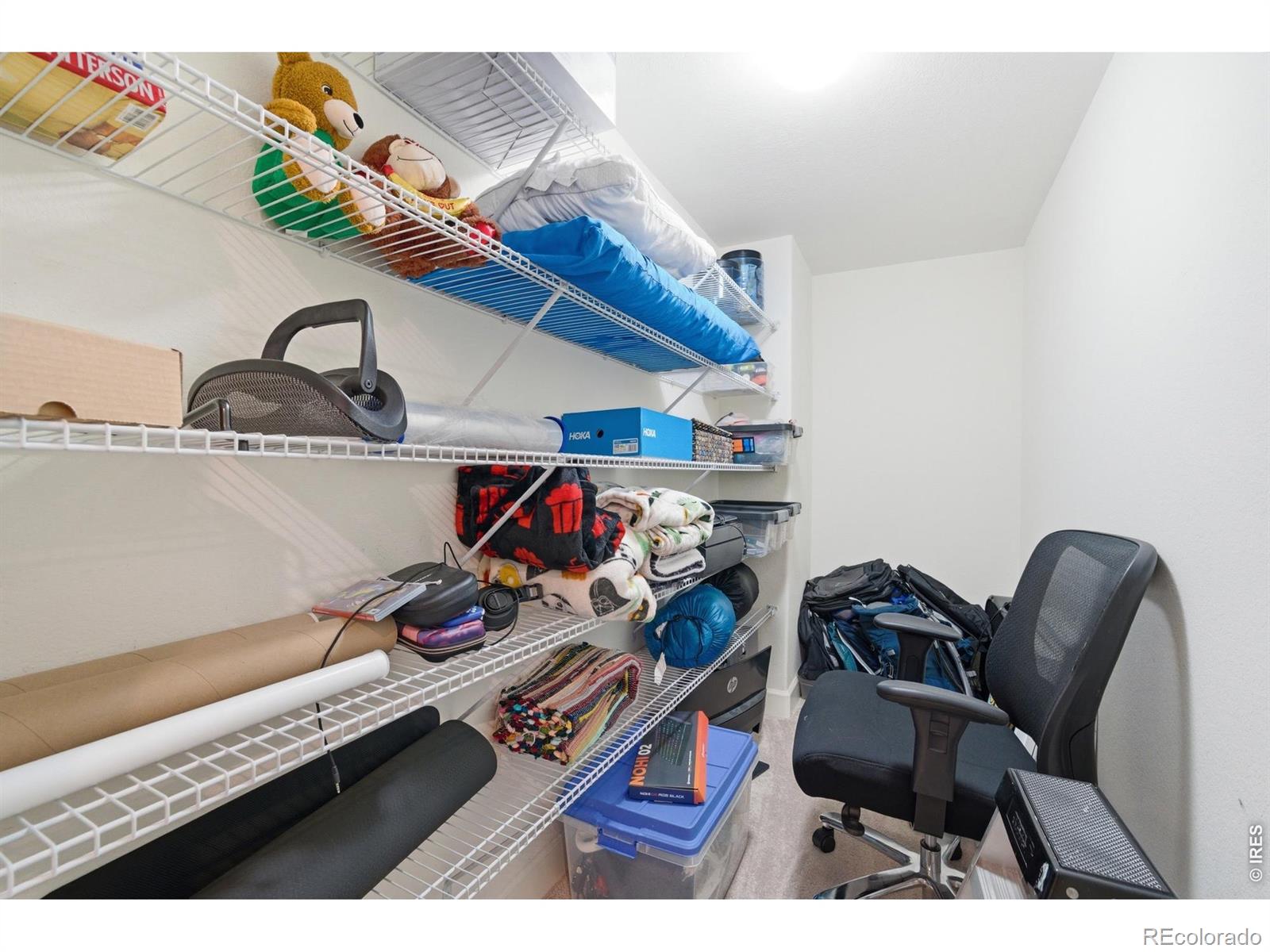 5814 Northern Lights Drive Fort Collins CO 80528
