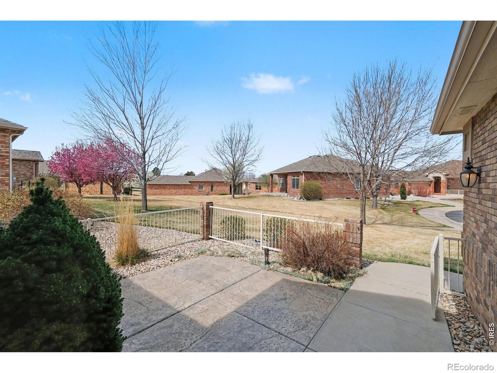 8245 Hidden Cove Court Windsor CO 80528