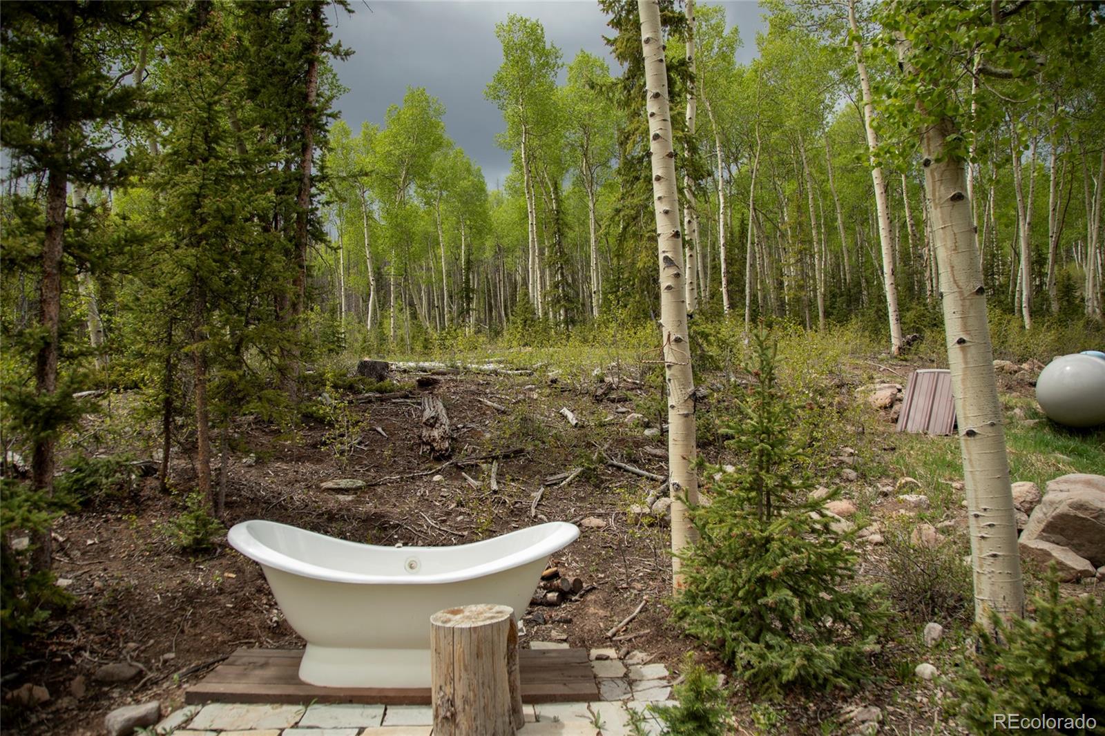 5565 Forest Road 504 Creede CO 81130