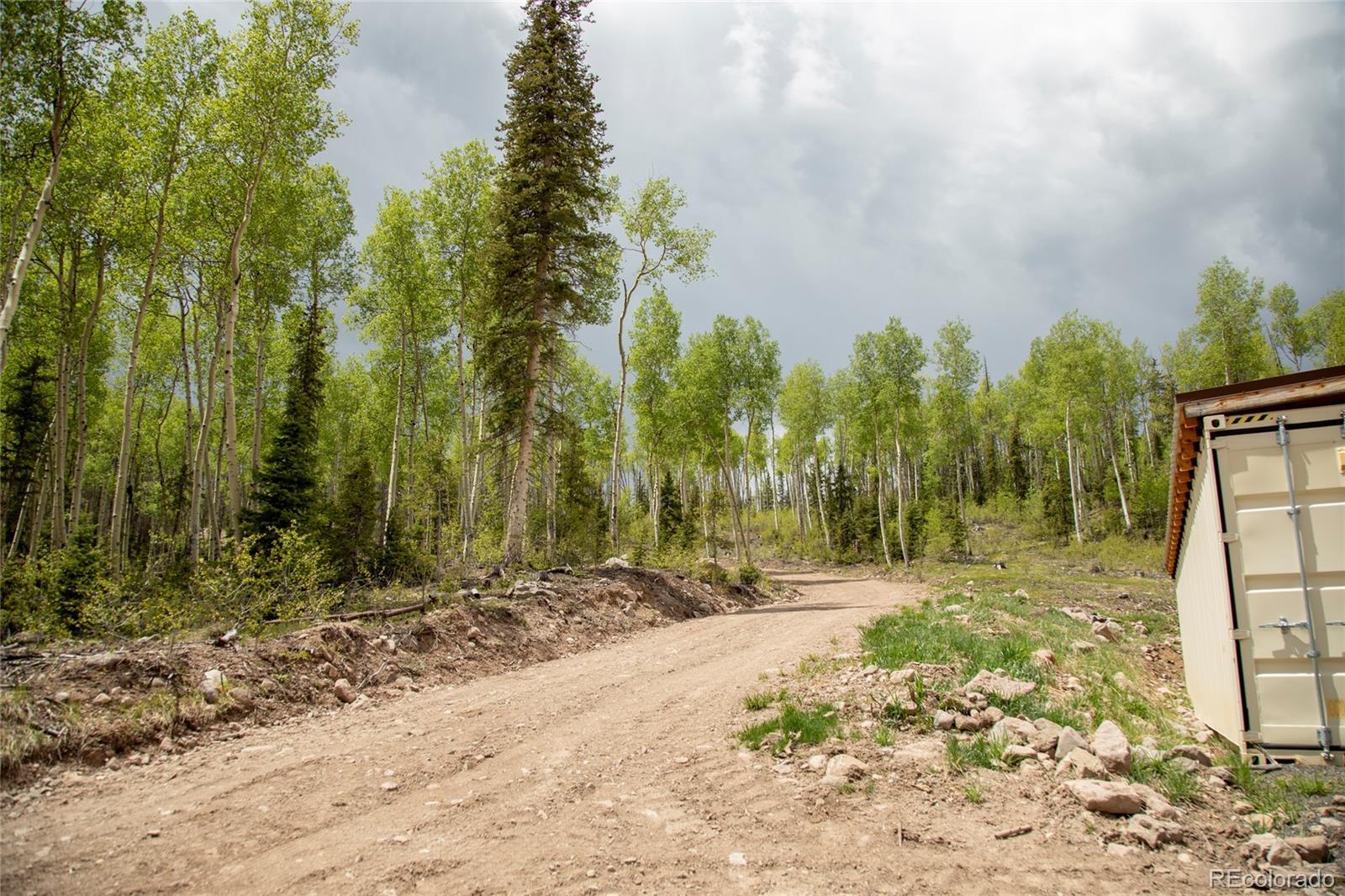 5565 Forest Road 504 Creede CO 81130