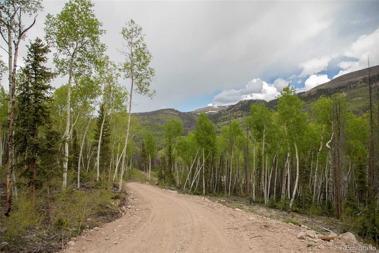 5565 Forest Road 504 Creede CO 81130