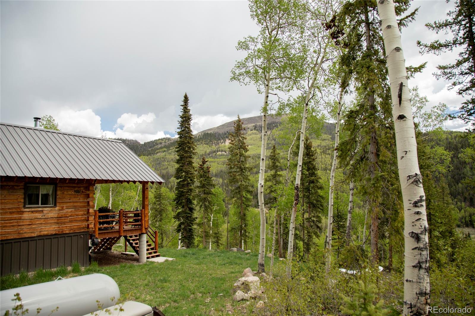 5565 Forest Road 504 Creede CO 81130