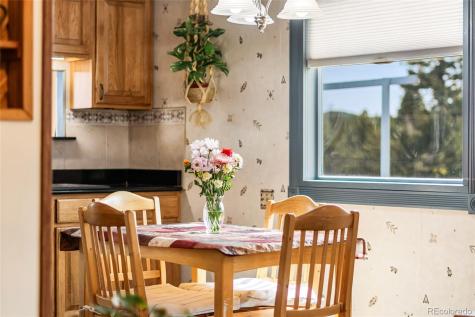 11948 Apache Trail Conifer CO 80433