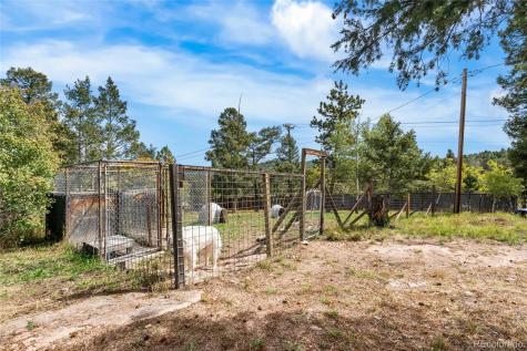 11948 Apache Trail Conifer CO 80433
