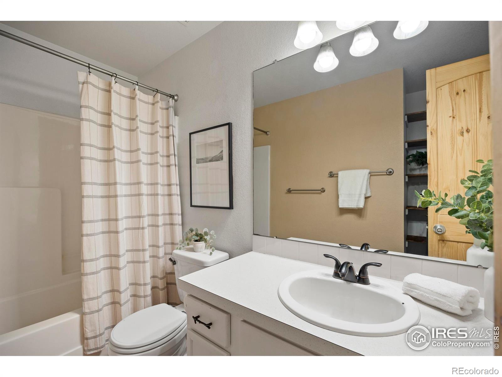 303 W Juneberry Street Milliken CO 80543