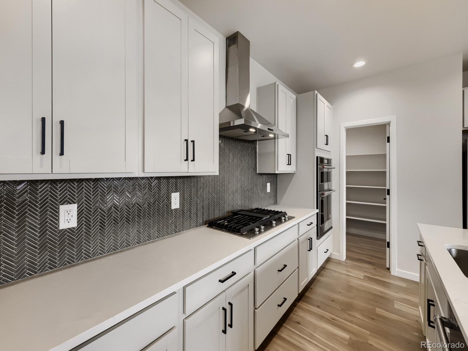 2691 E 102nd Place Denver CO 80229