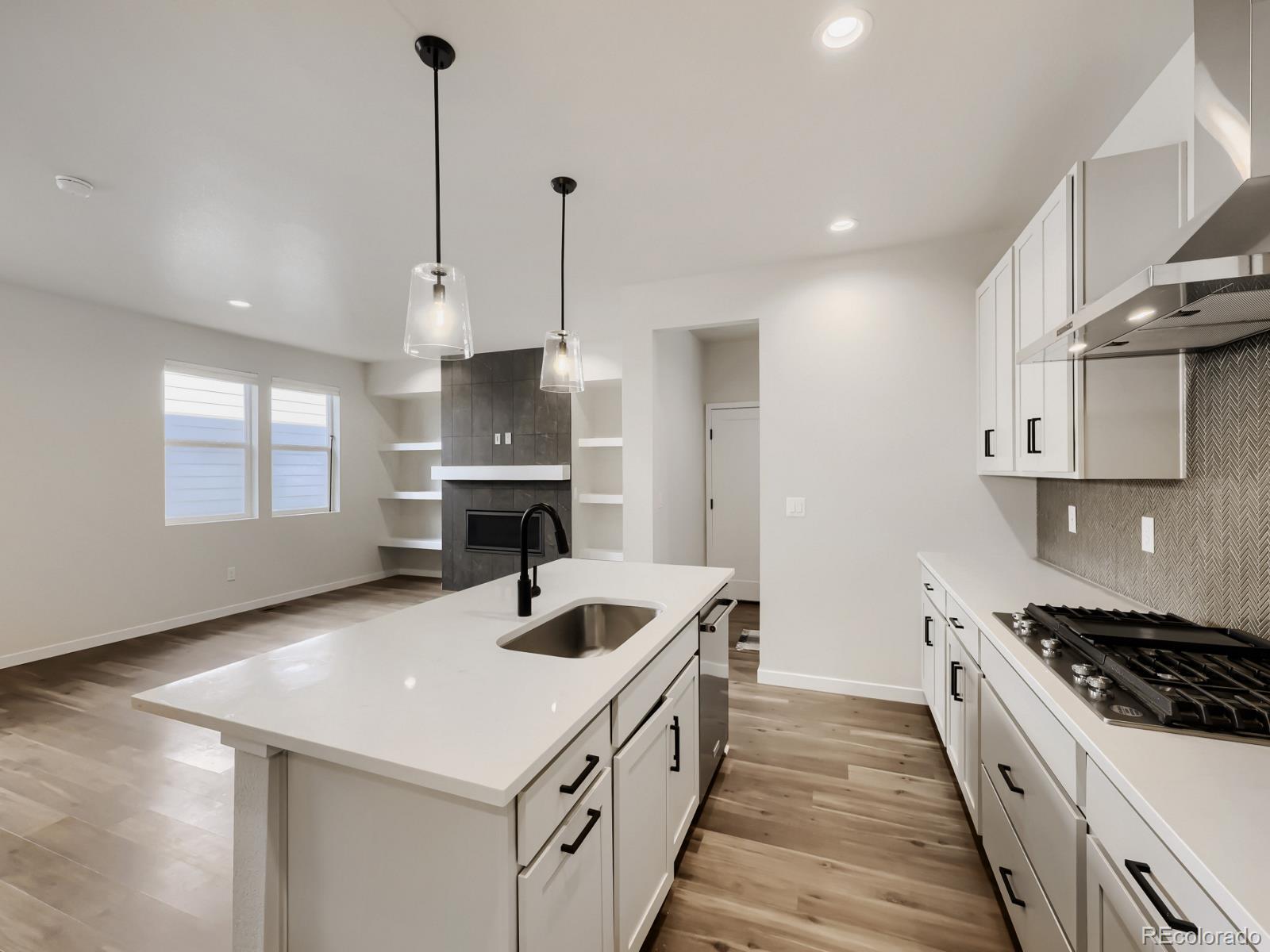 2691 E 102nd Place Denver CO 80229