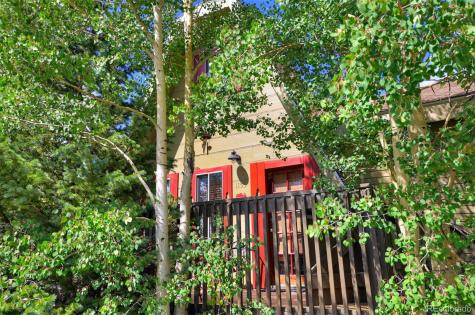 1155 Co Road 6 Alma CO 80420