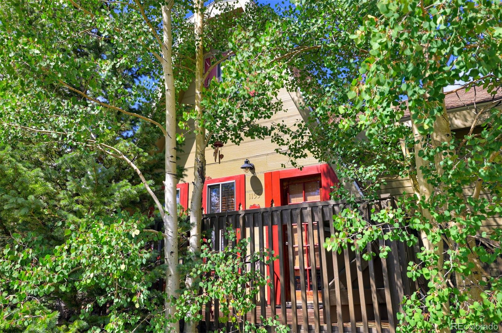 1155 Co Road 6 Alma CO 80420