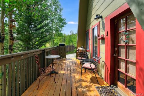 1155 Co Road 6 Alma CO 80420