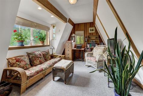 1155 Co Road 6 Alma CO 80420